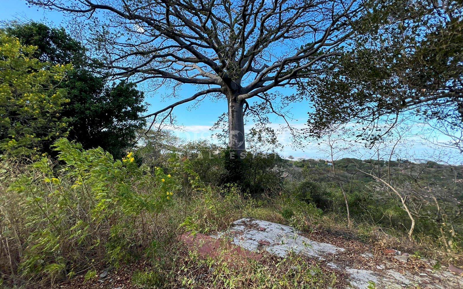 Land for sale opposite the Carretera Sur highway with lake views