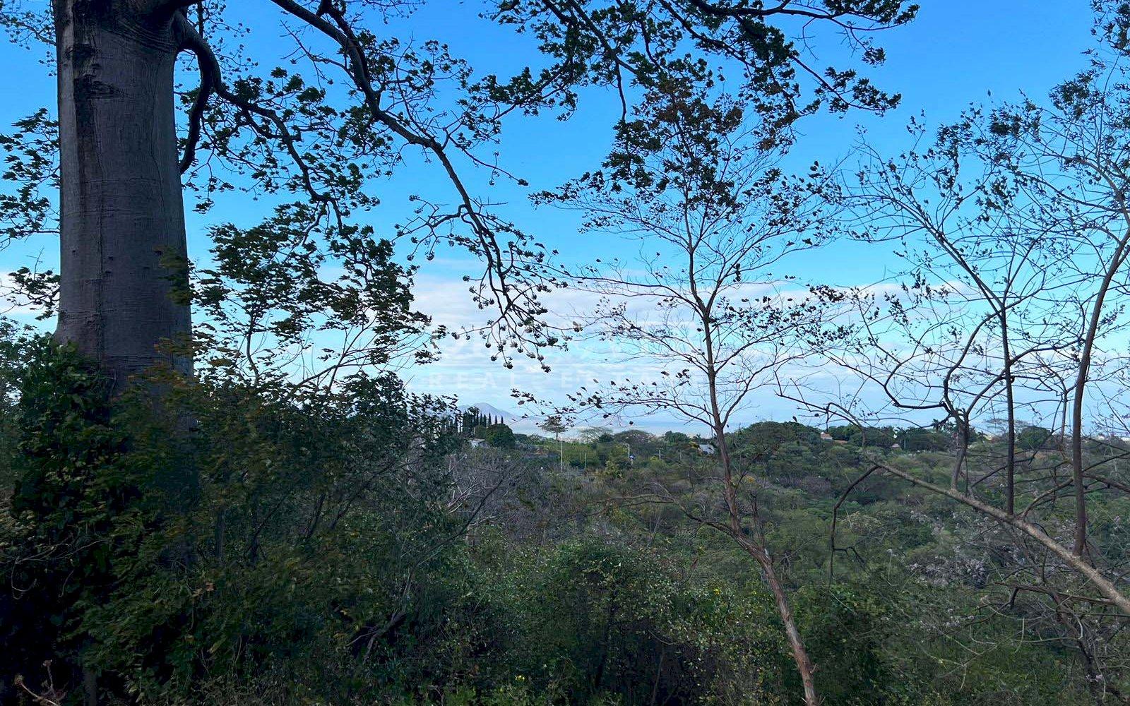 Land for sale opposite the Carretera Sur highway with lake views