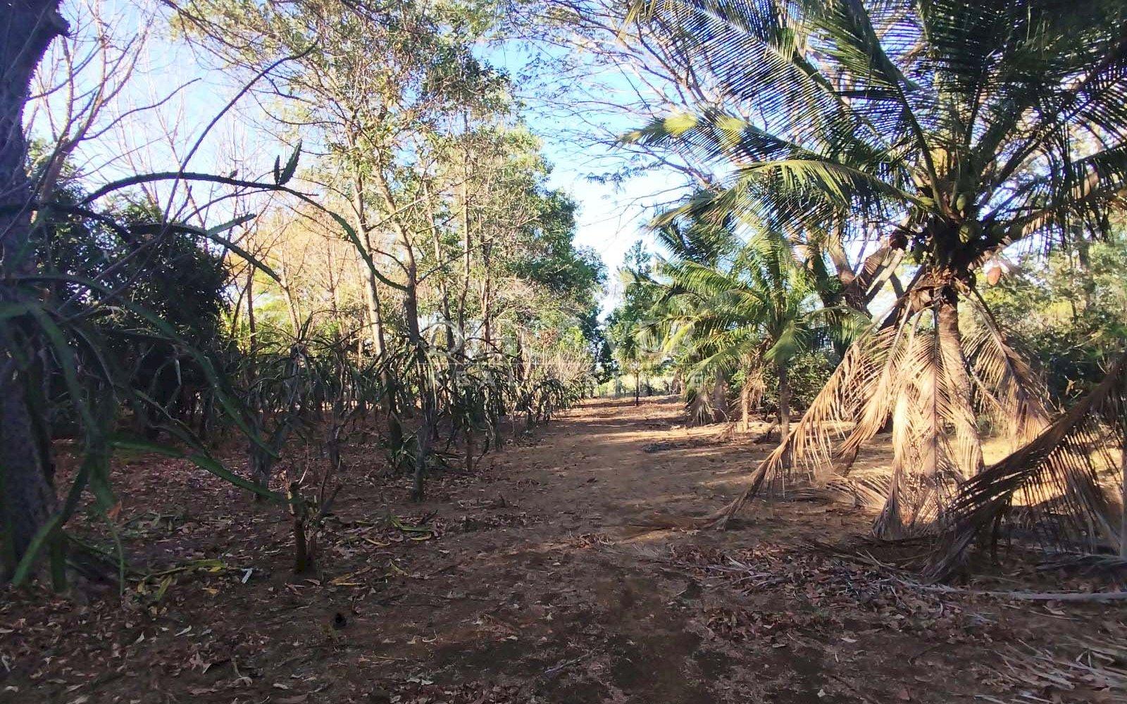 https://images.discovernica.com/propiedad/1600/ID_13565.jpg