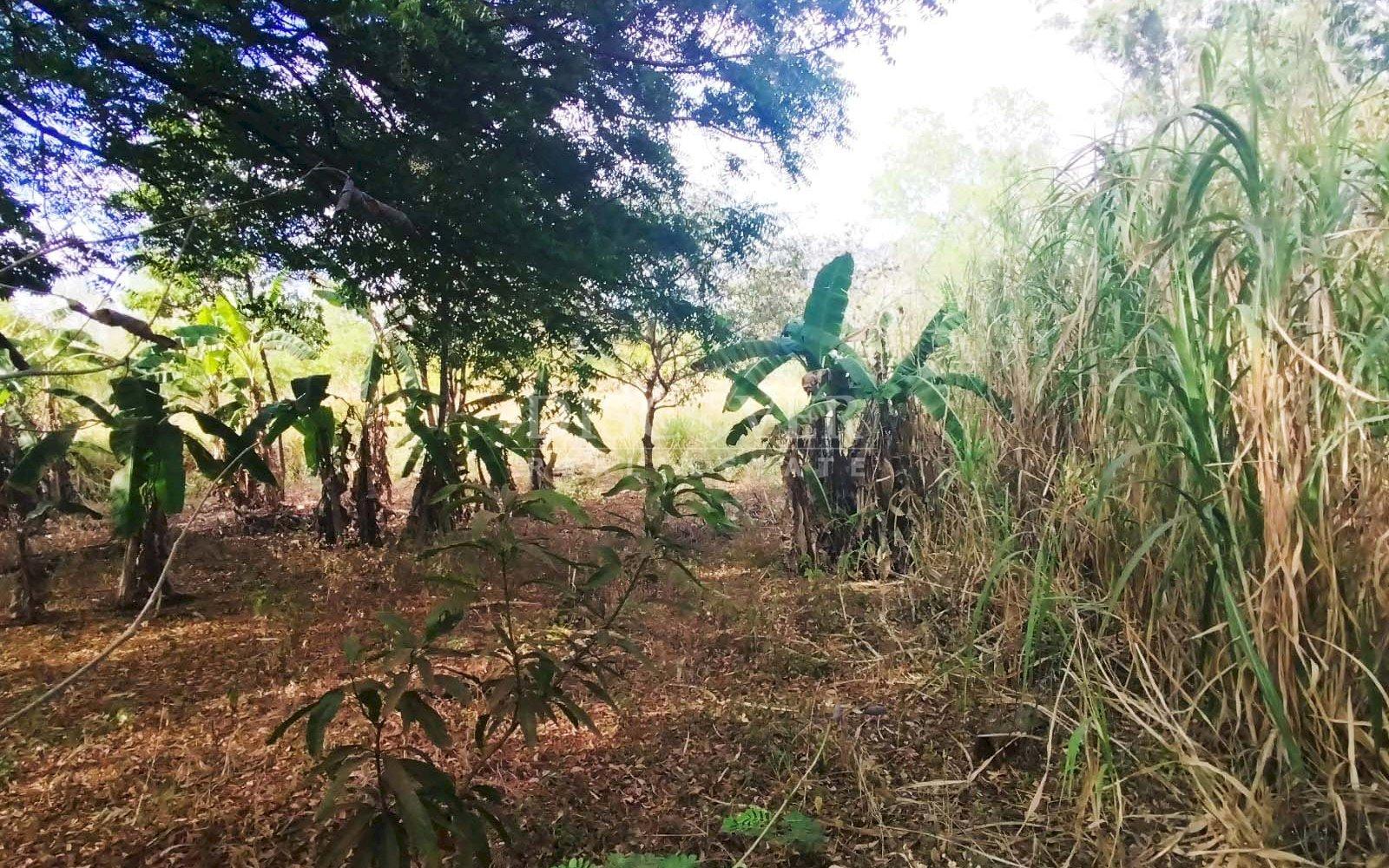 https://images.discovernica.com/propiedad/1600/ID_13565_3_.jpg