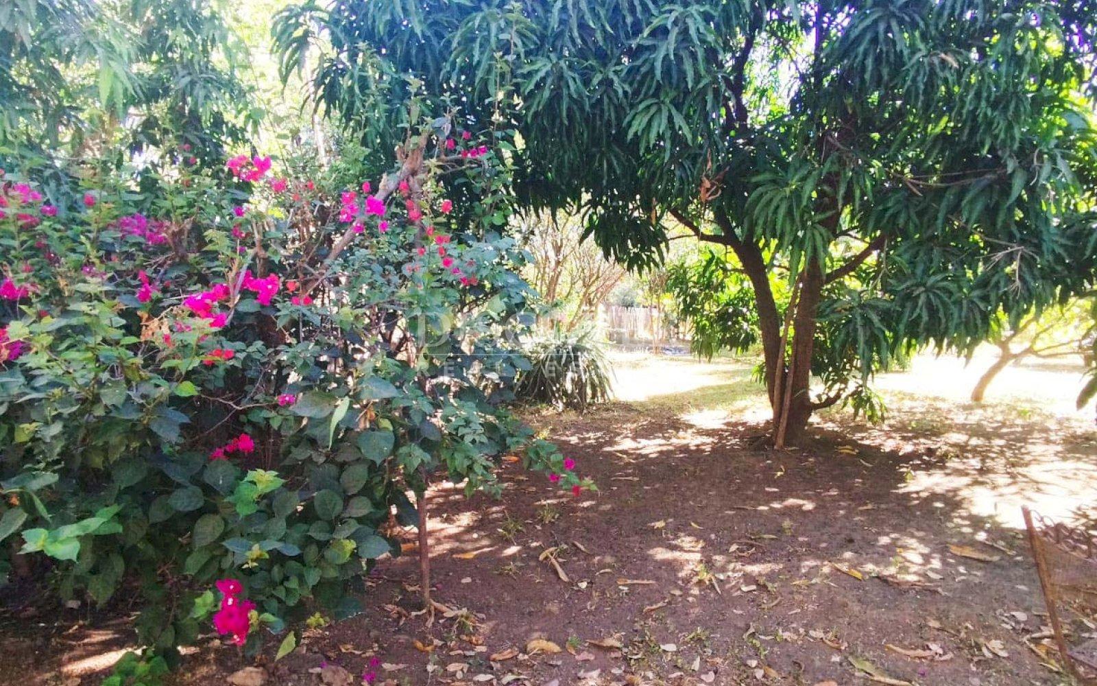 https://images.discovernica.com/propiedad/1600/ID_13568_5.jpg