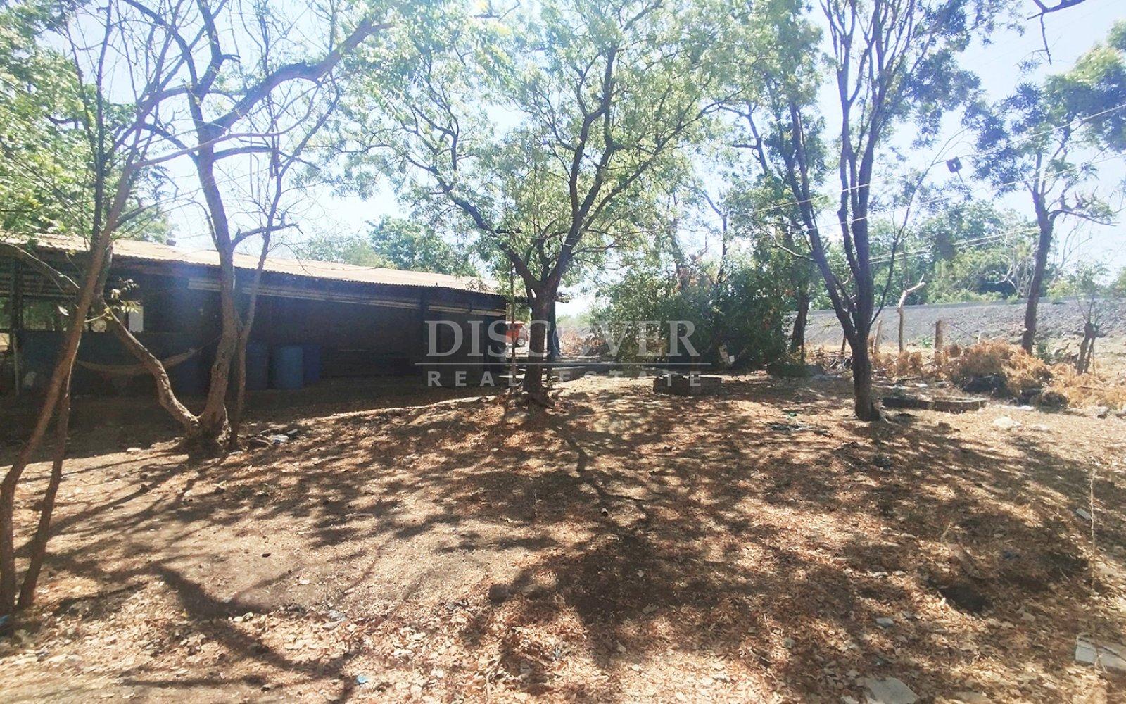 Imagen 4 de la galería