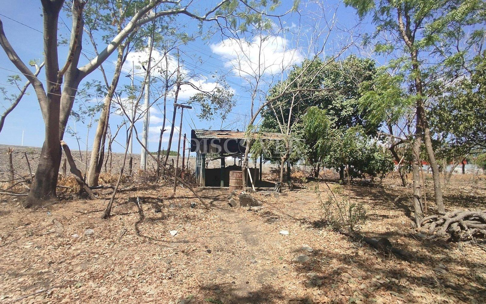 Imagen 5 de la galería