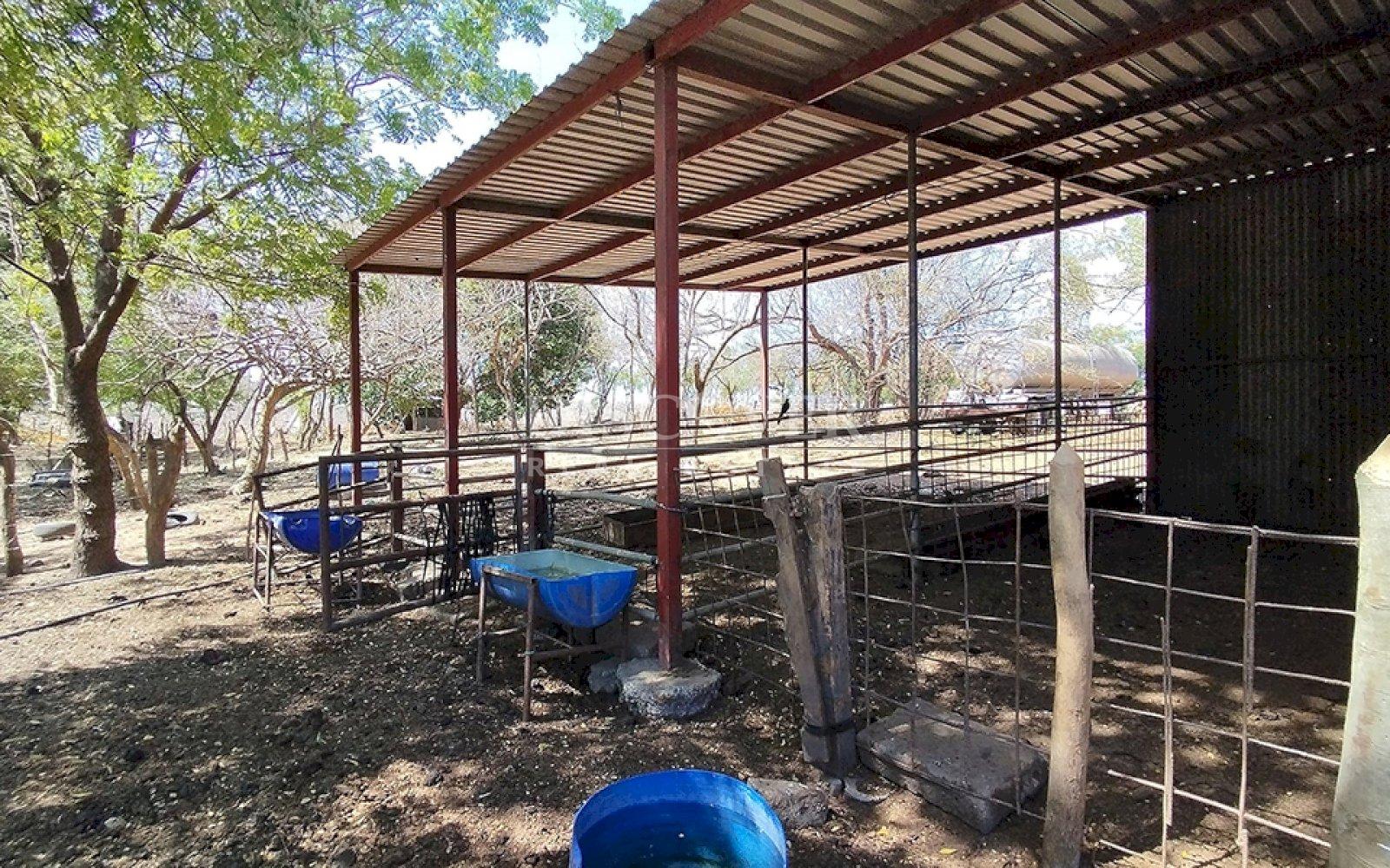 Imagen 6 de la galería