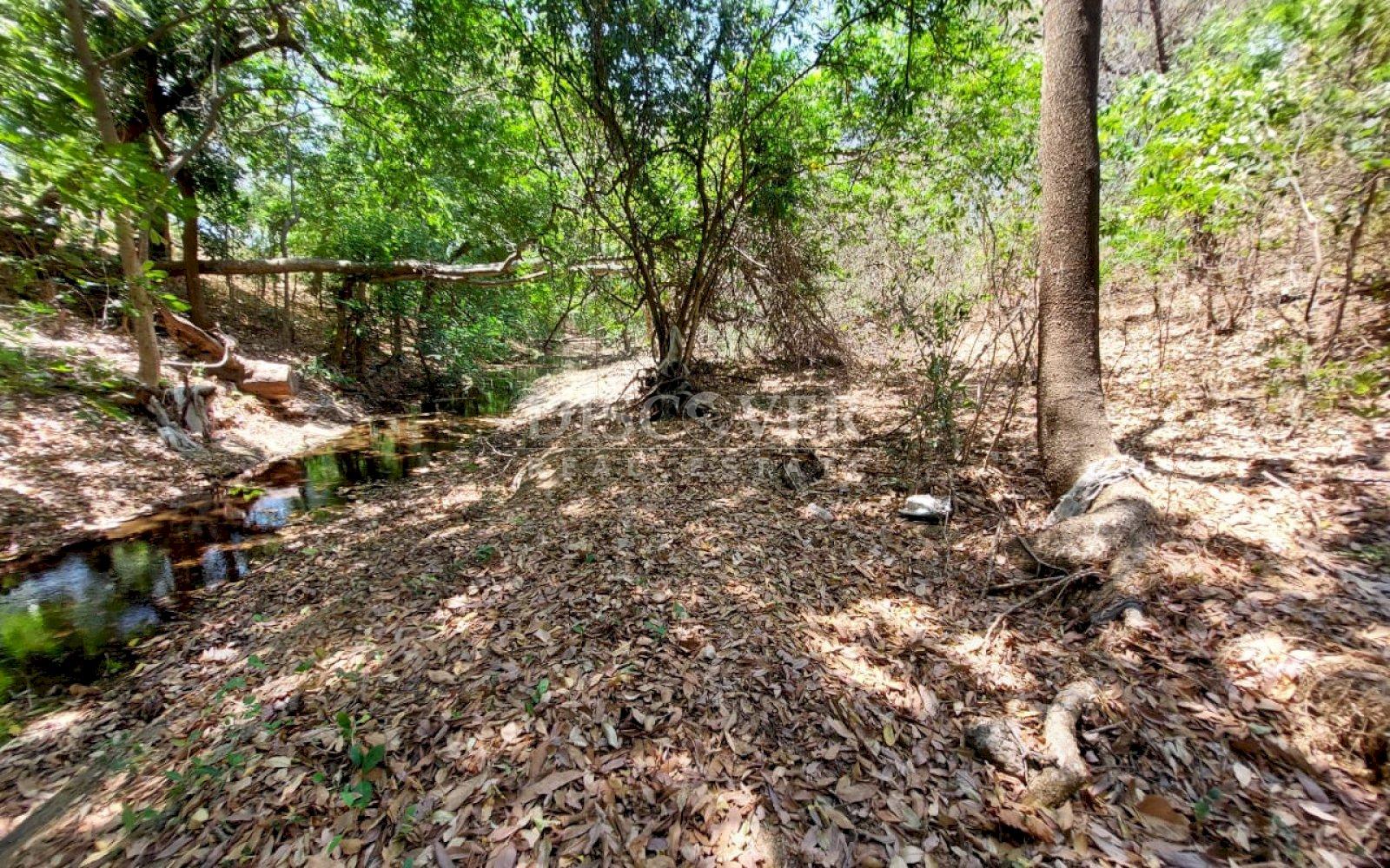 https://images.discovernica.com/propiedad/1600/ID_13577_4.jpg
