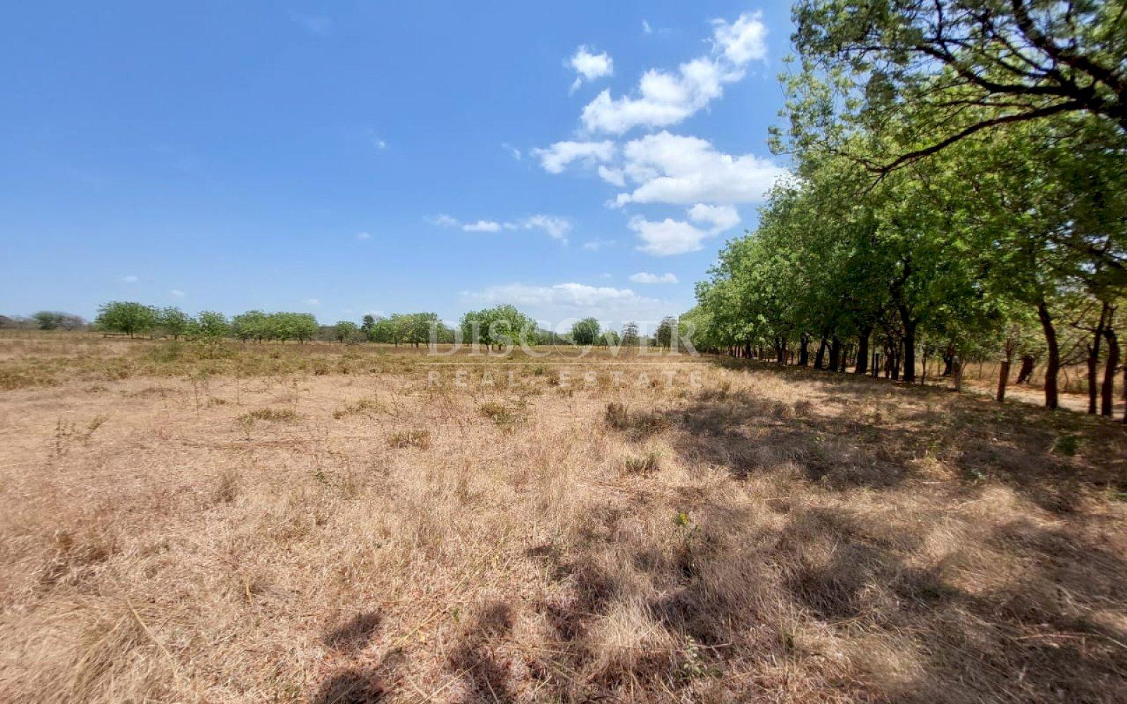 https://images.discovernica.com/propiedad/1600/ID_13577_7.jpg