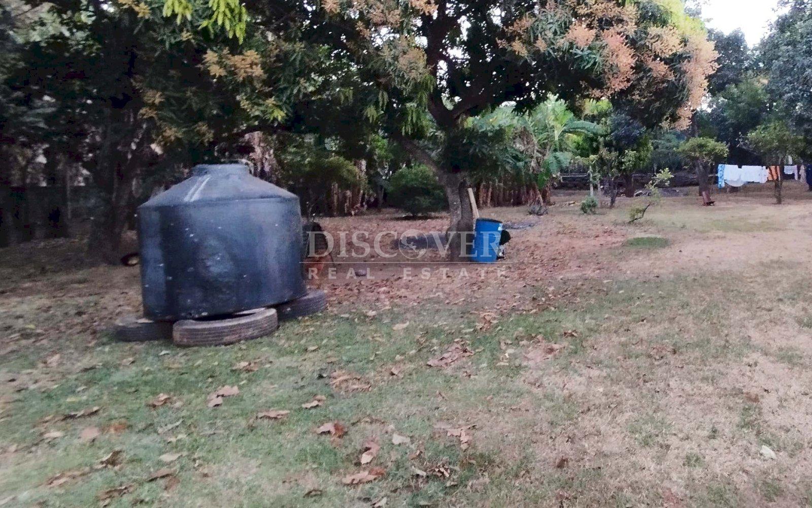 Imagen 7 de la galería