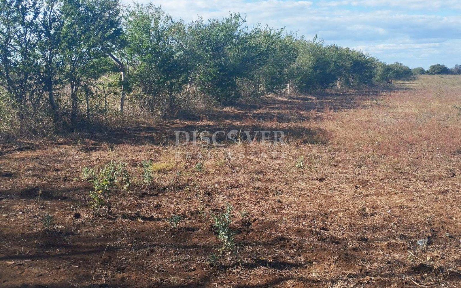 Imagen 4 de la galería