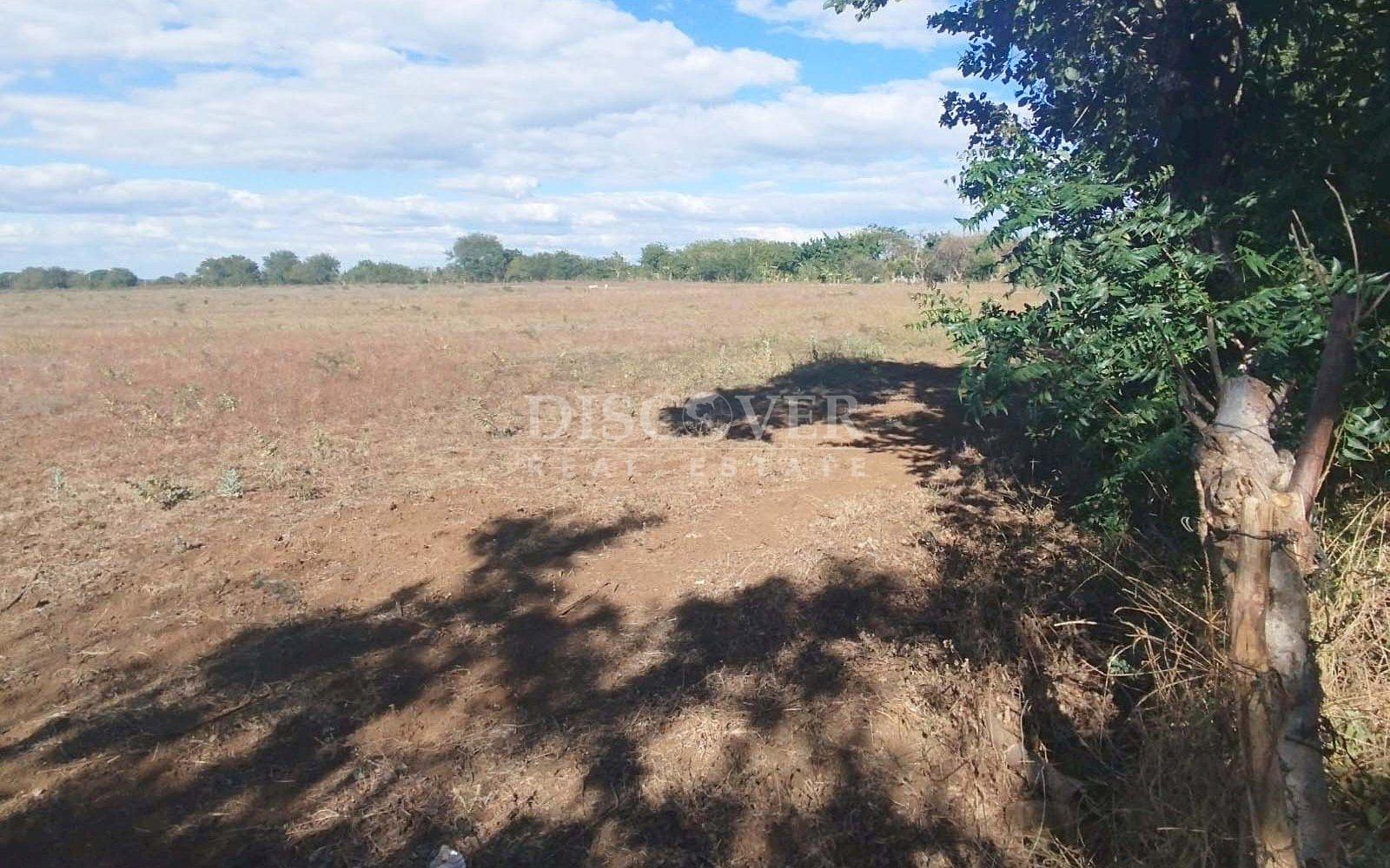 Imagen 3 de la galería
