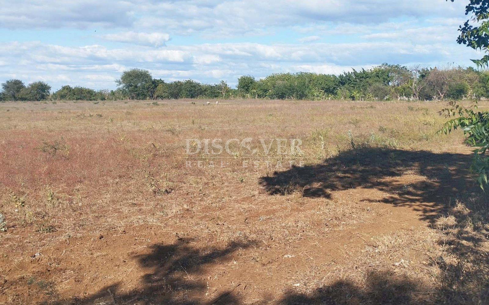 Imagen 6 de la galería