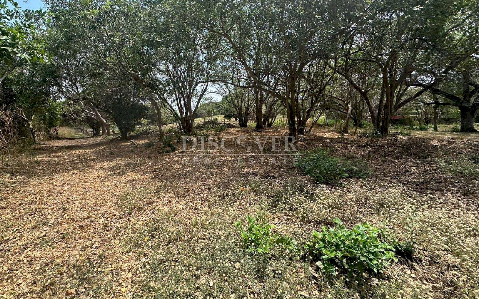https://images.discovernica.com/propiedad/1600/ID_13595_3.jpg