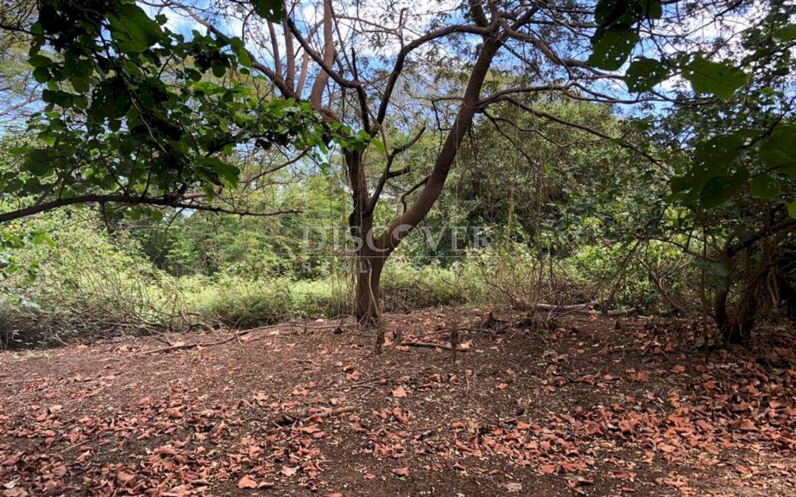  Land for sale in the department of León-Poneloya