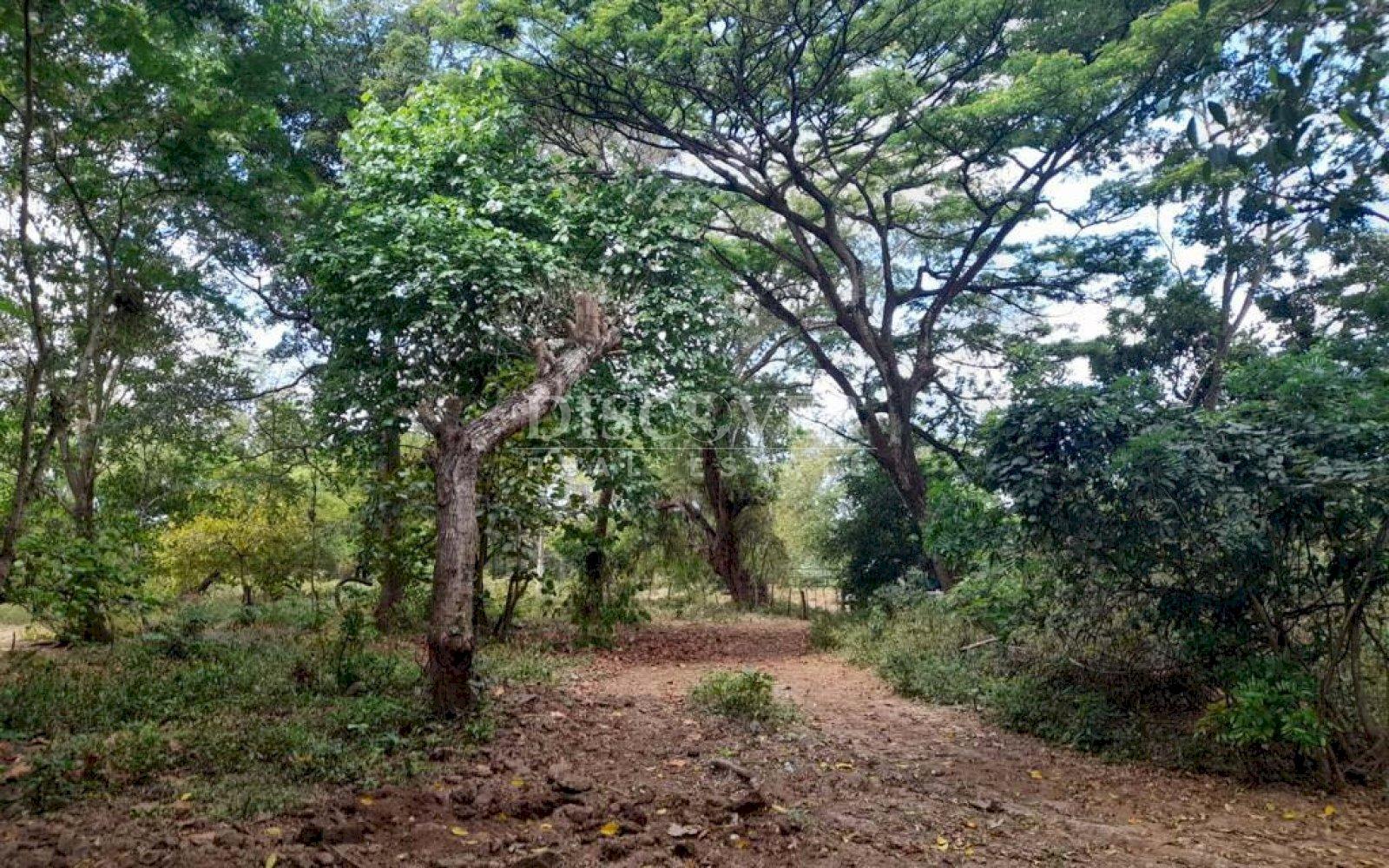  Land for sale in the department of León-Poneloya