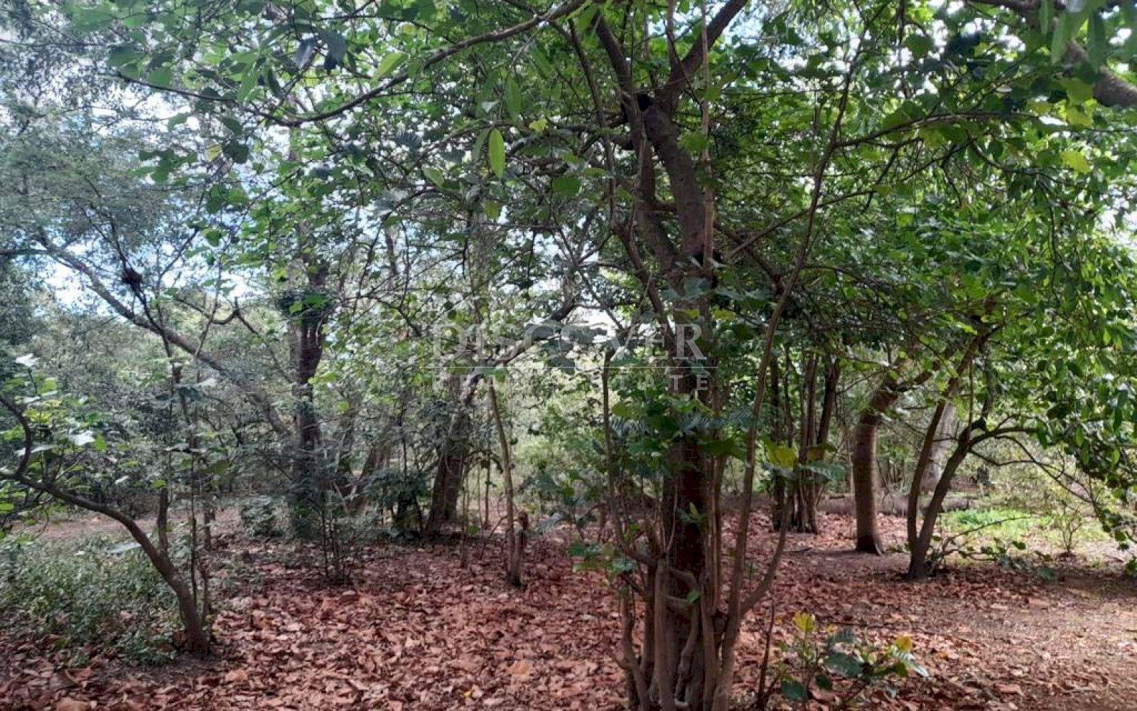  Land for sale in the department of León-Poneloya