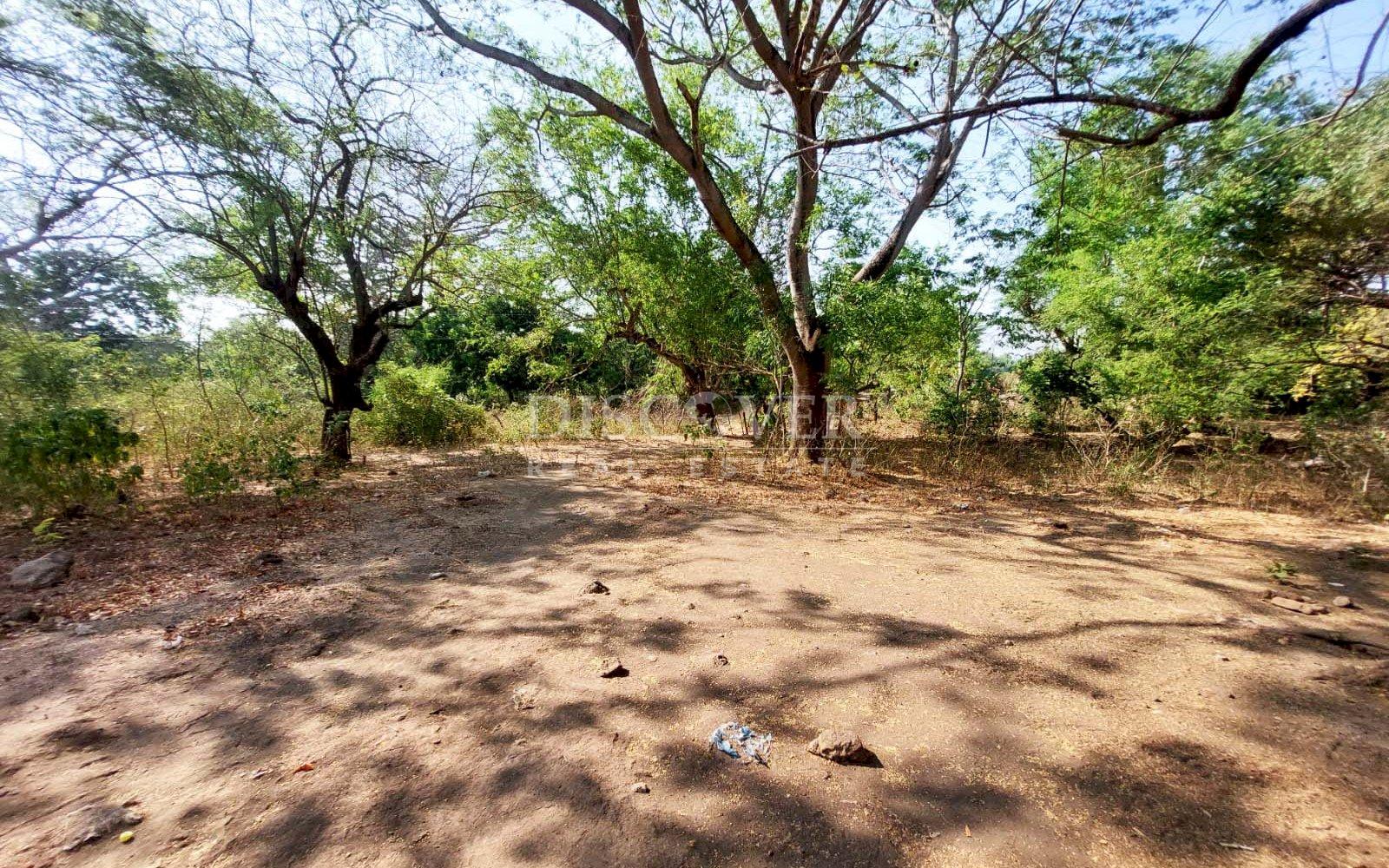  Land for sale in the department of León-Poneloya