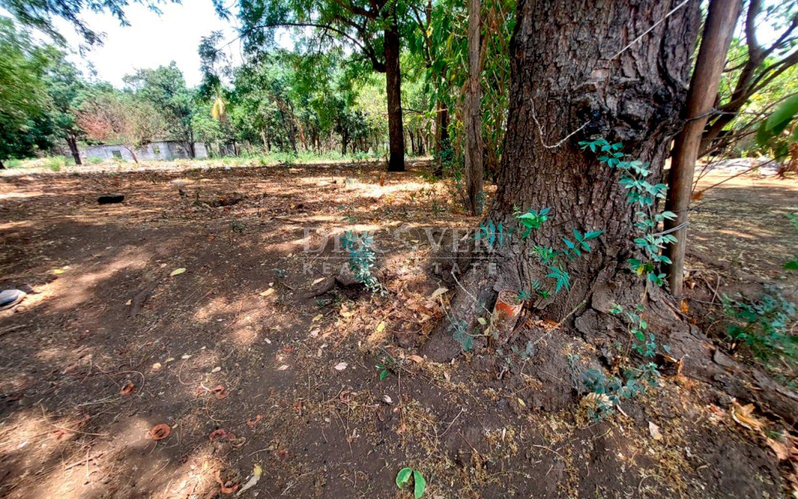 Imagen 3 de la galería