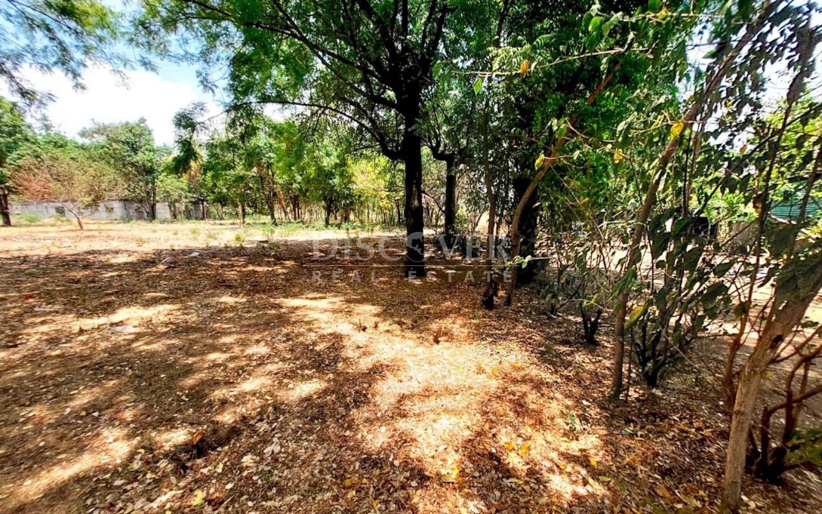 Imagen 2 de la galería