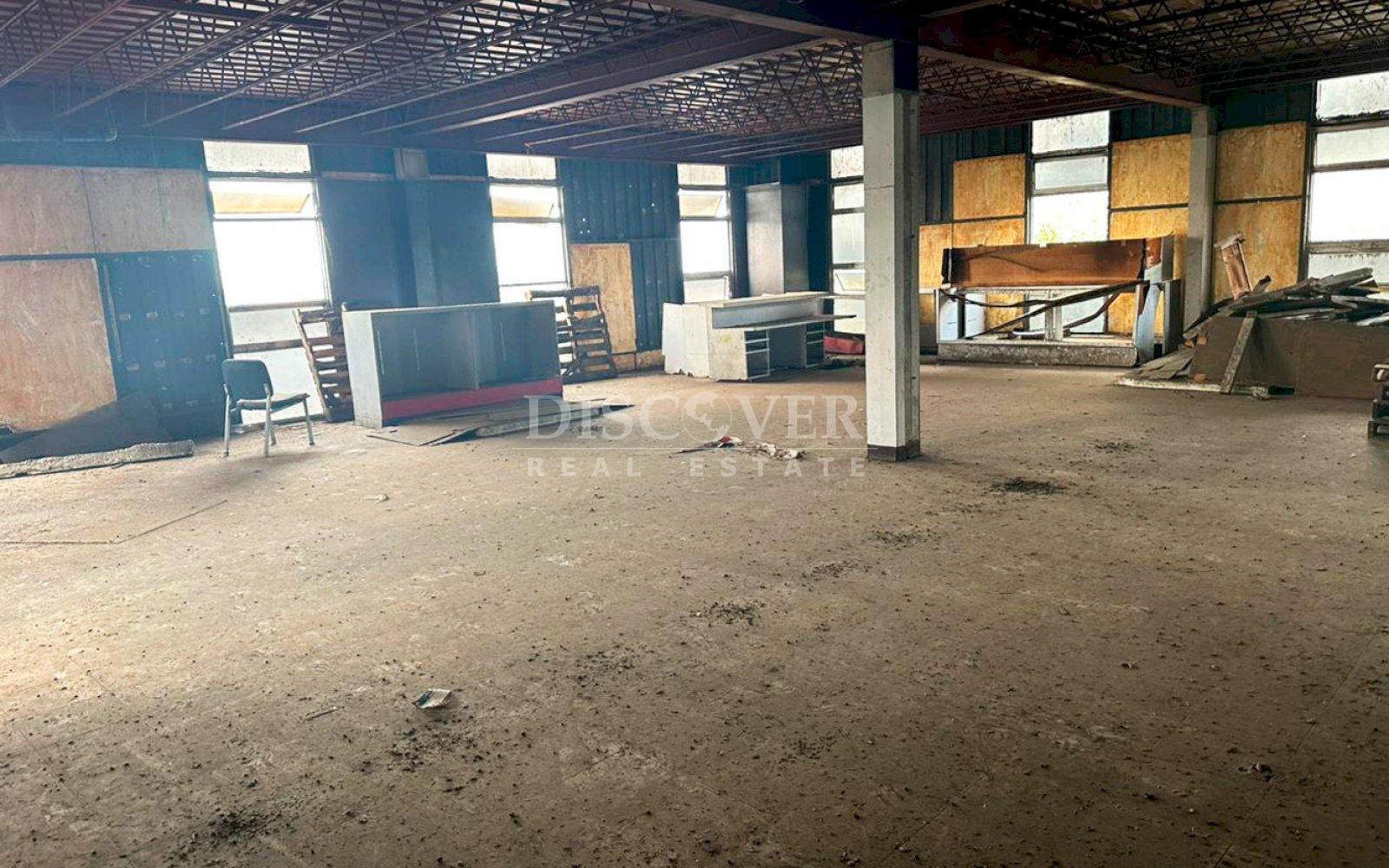 Imagen 4 de la galería