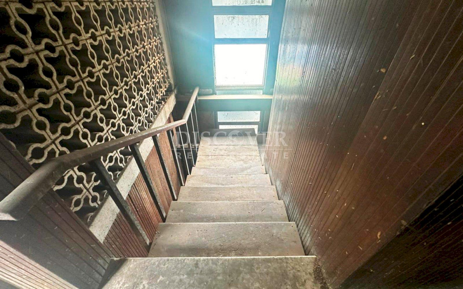 Imagen 5 de la galería