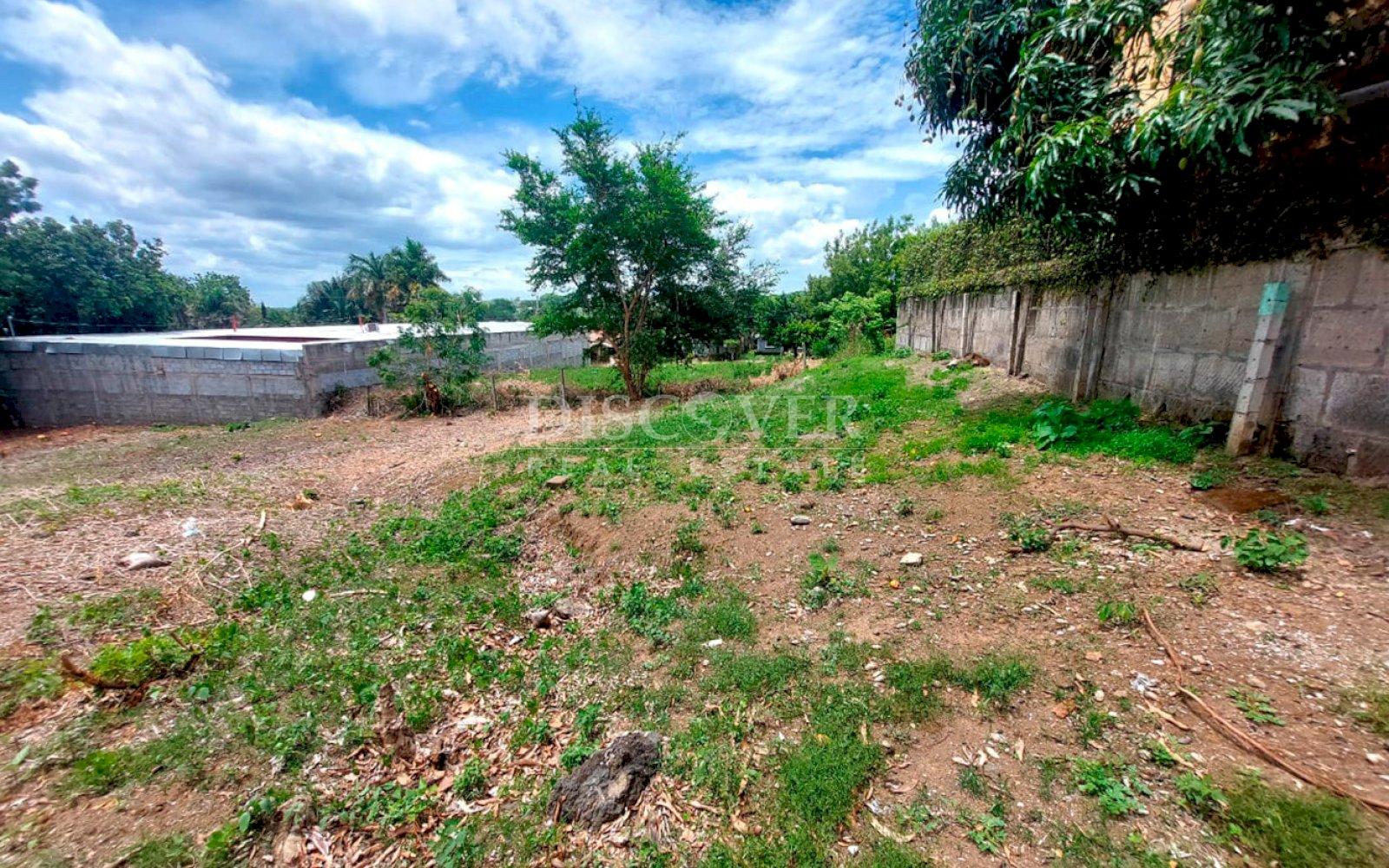 Imagen 1 de la galería