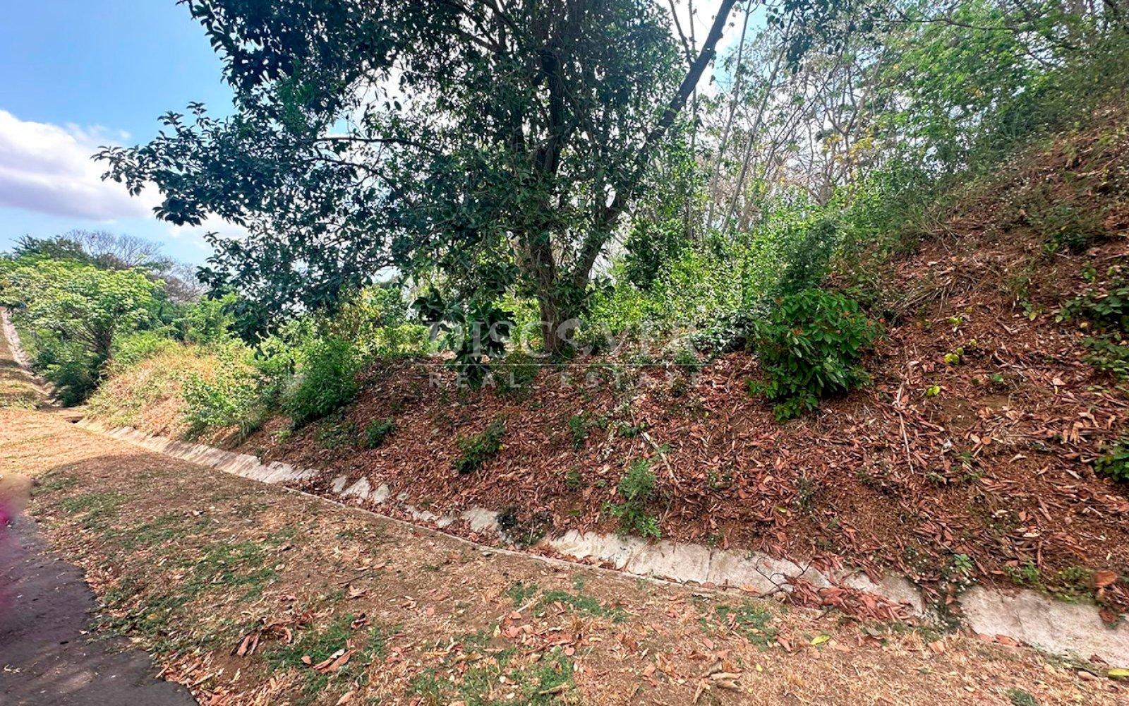 https://images.discovernica.com/propiedad/1600/ID_13_1.jpg