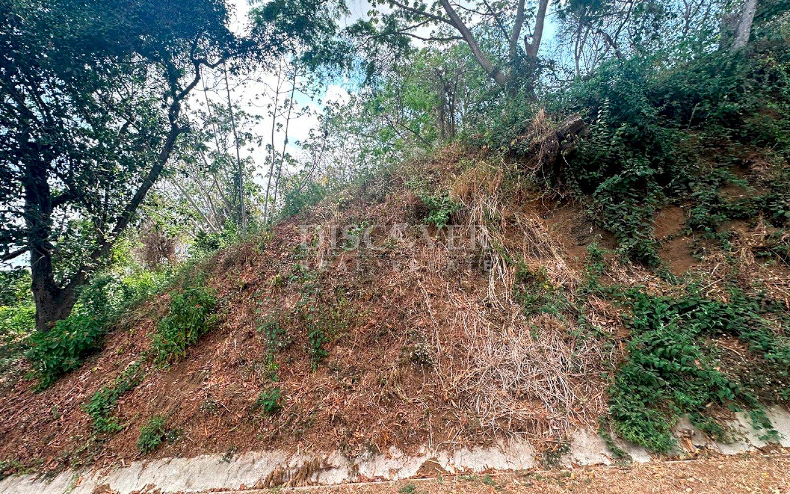 https://images.discovernica.com/propiedad/1600/ID_13_2.jpg