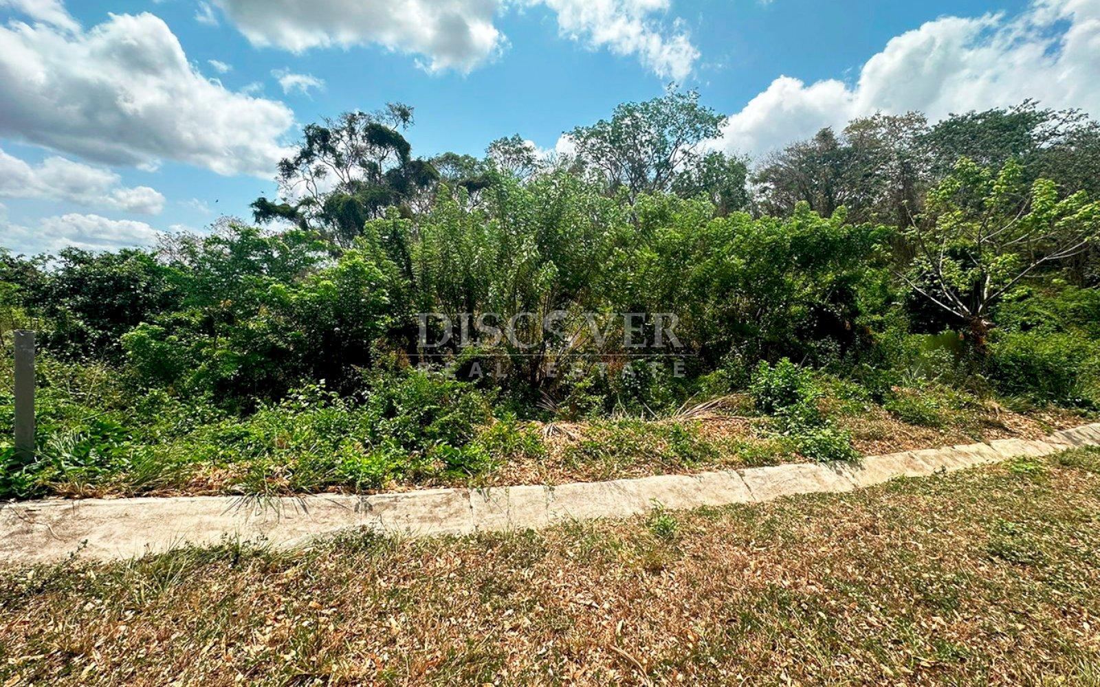 https://images.discovernica.com/propiedad/1600/ID_13_7.jpg