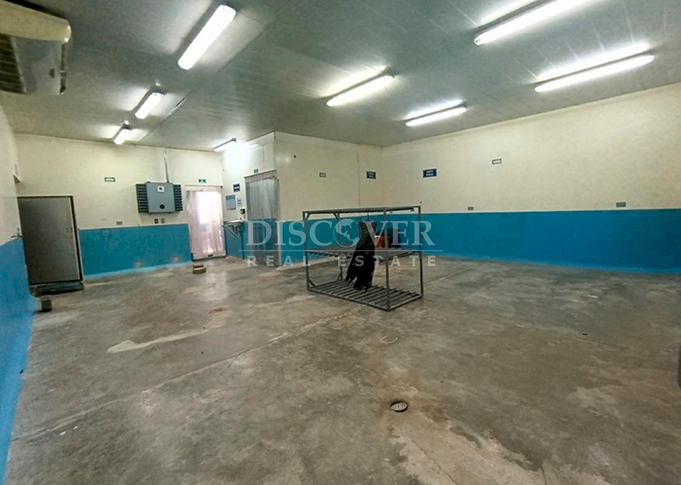  Warehouse for rent on Carretera Nueva a León