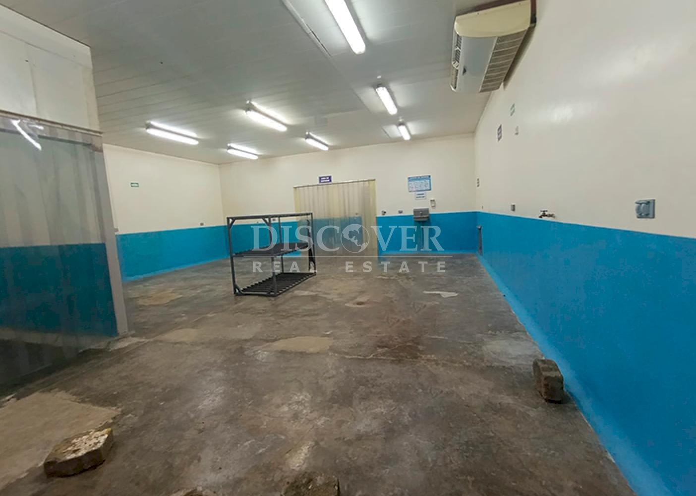  Warehouse for rent on Carretera Nueva a León