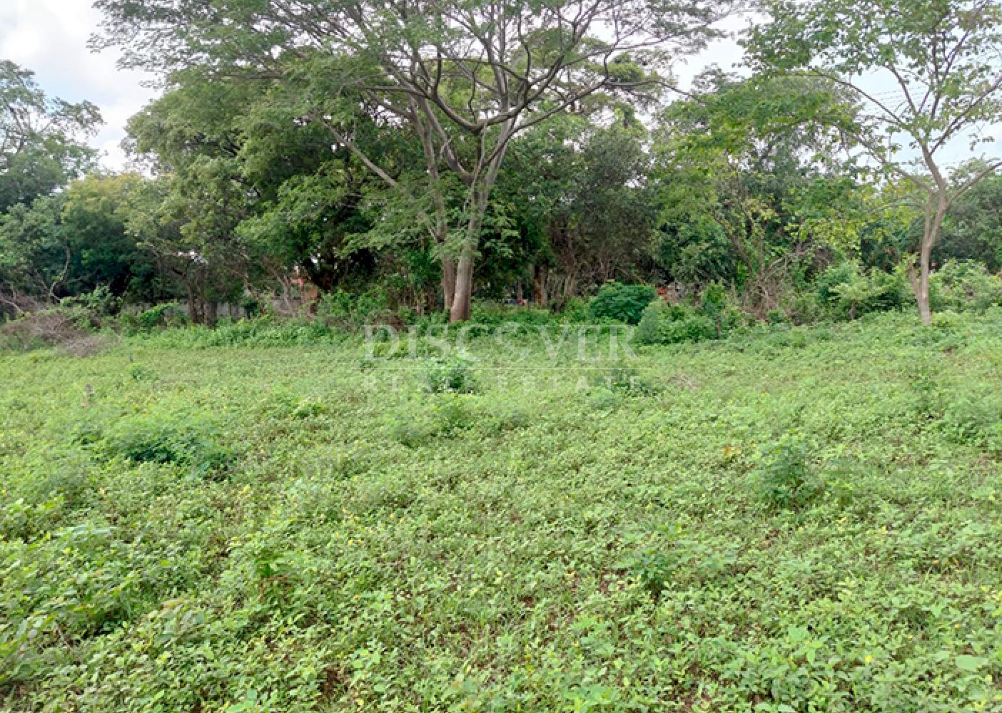  Land for sale on Carretera Sur