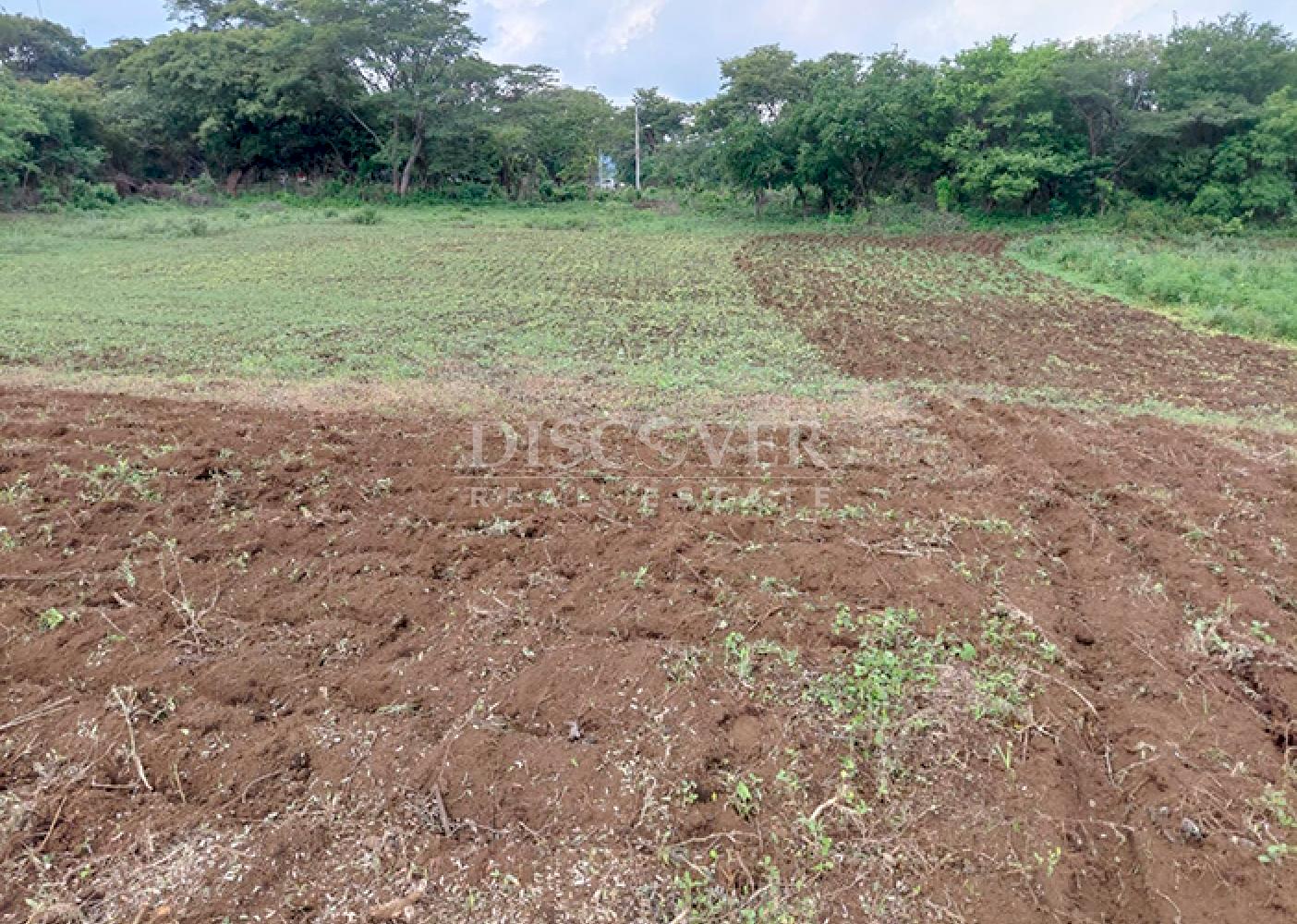  Land for sale on Carretera Sur