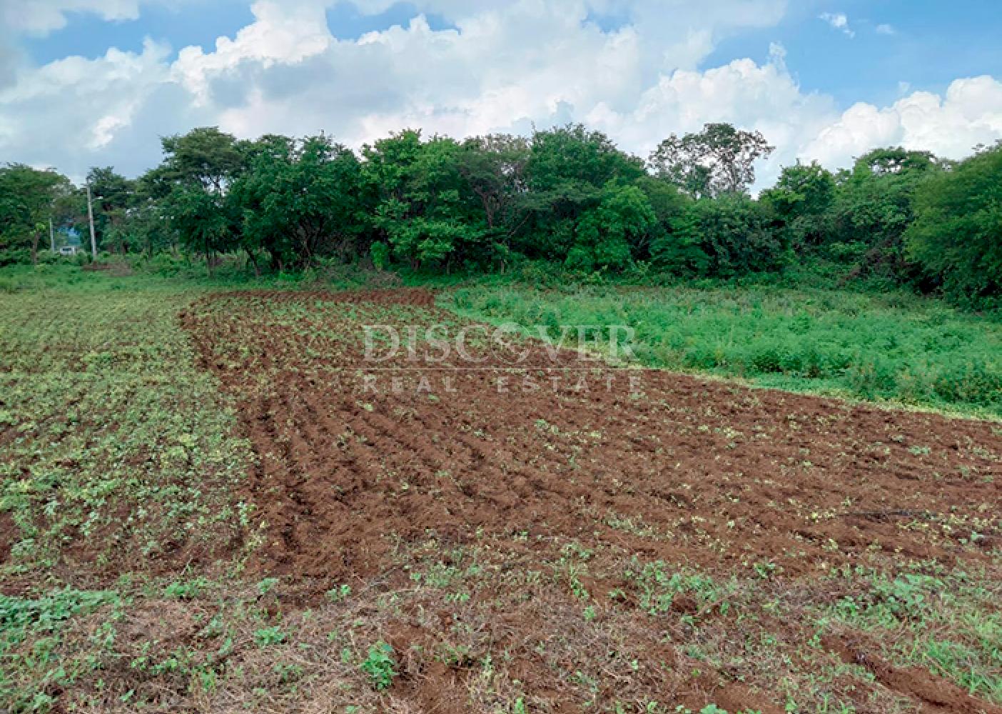  Land for sale on Carretera Sur