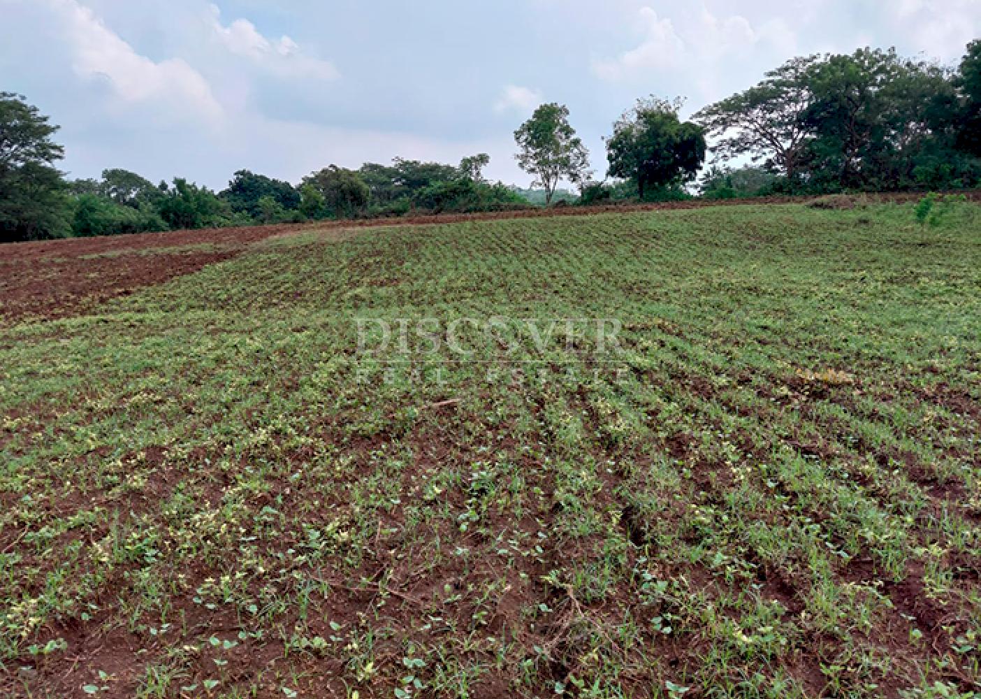  Land for sale on Carretera Sur