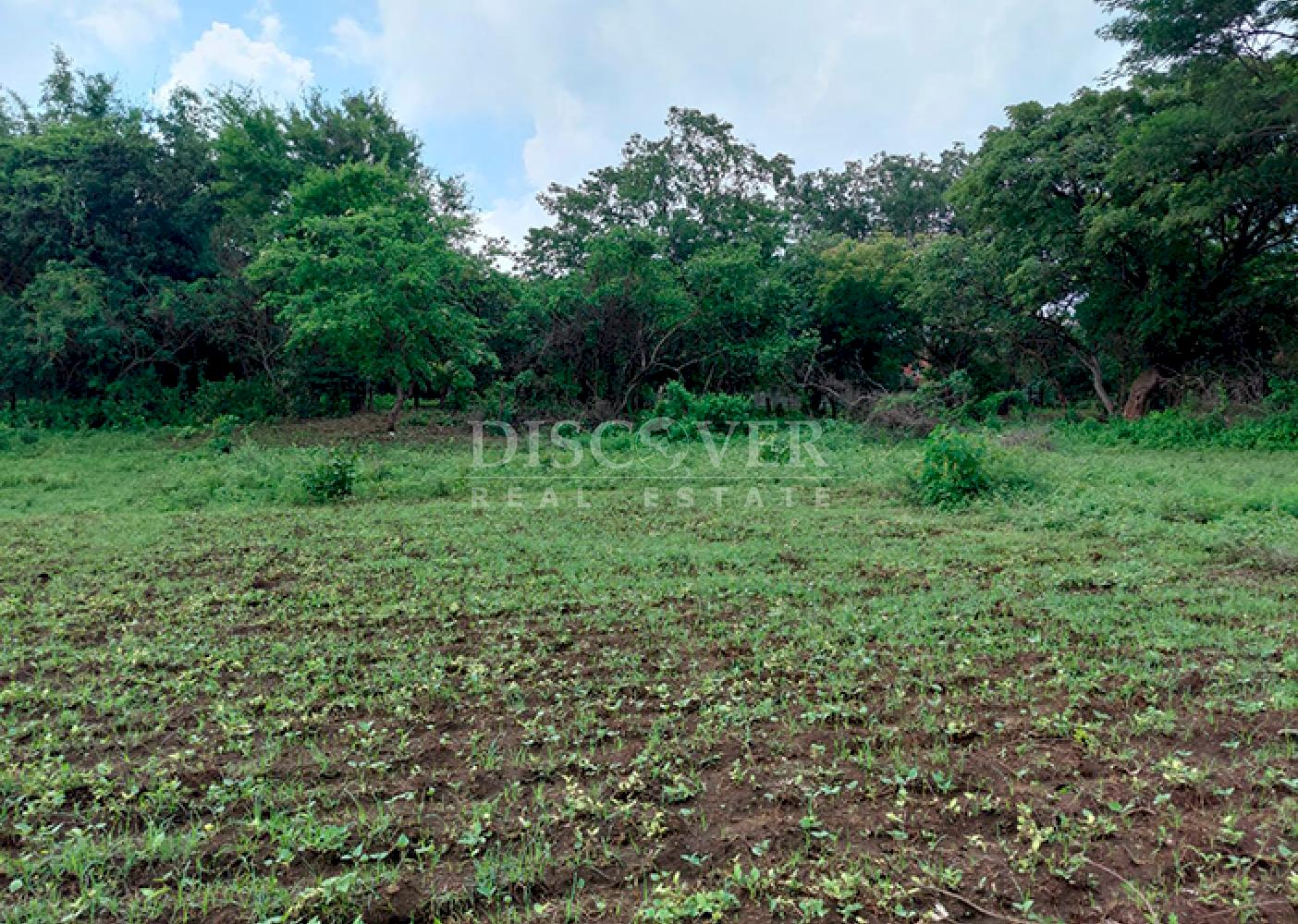 Land for sale on Carretera Sur