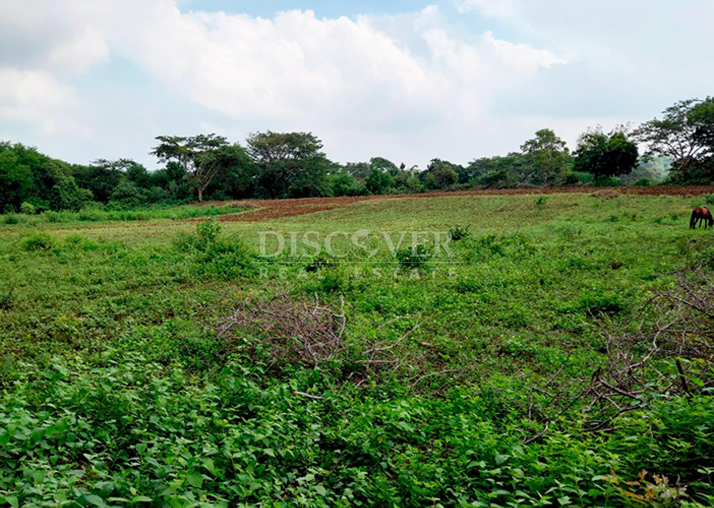  Land for sale on Carretera Sur