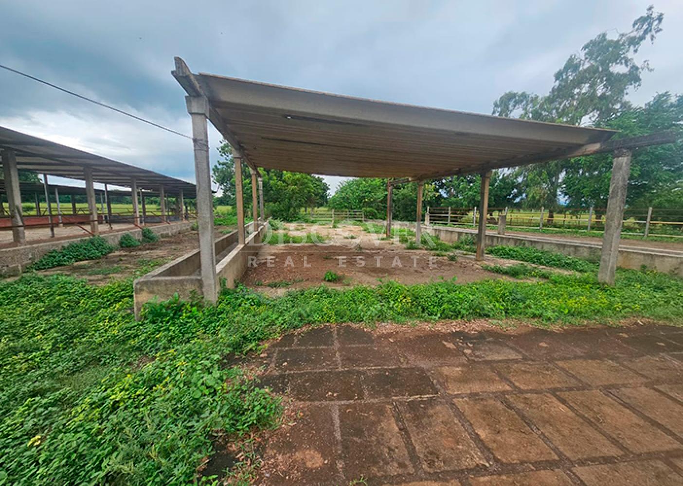  Livestock/Agricultural Farm for Sale in Masaya