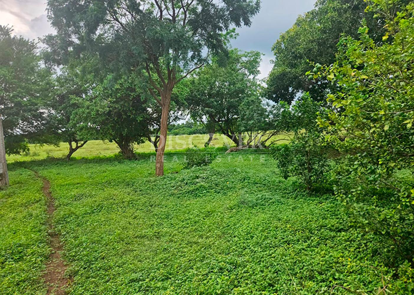  Livestock/Agricultural Farm for Sale in Masaya