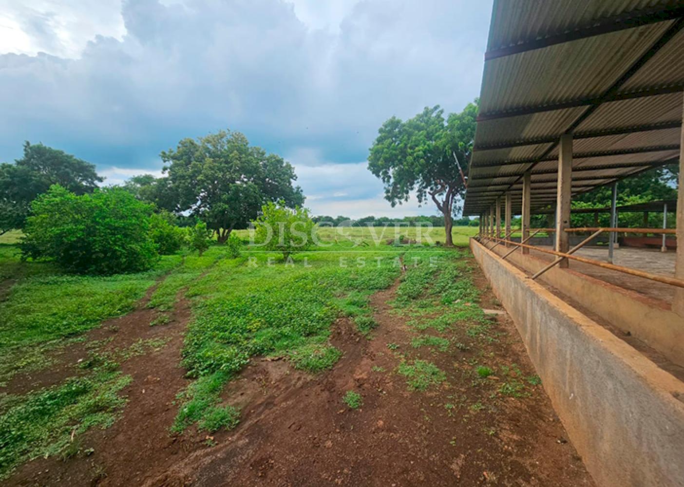  Livestock/Agricultural Farm for Sale in Masaya