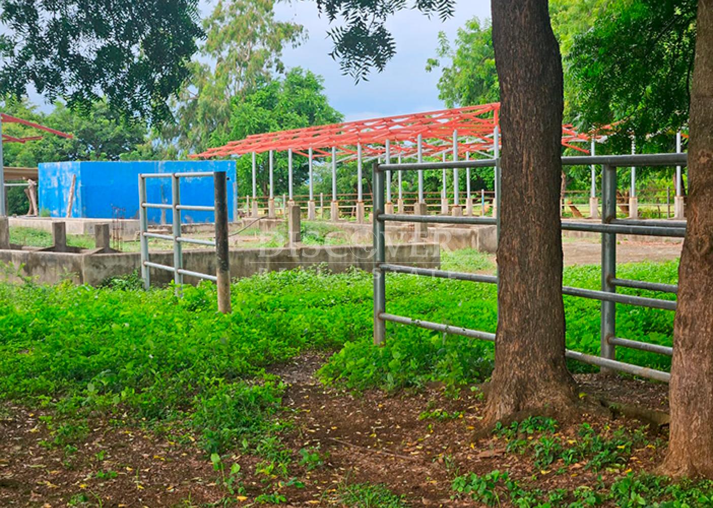  Livestock/Agricultural Farm for Sale in Masaya