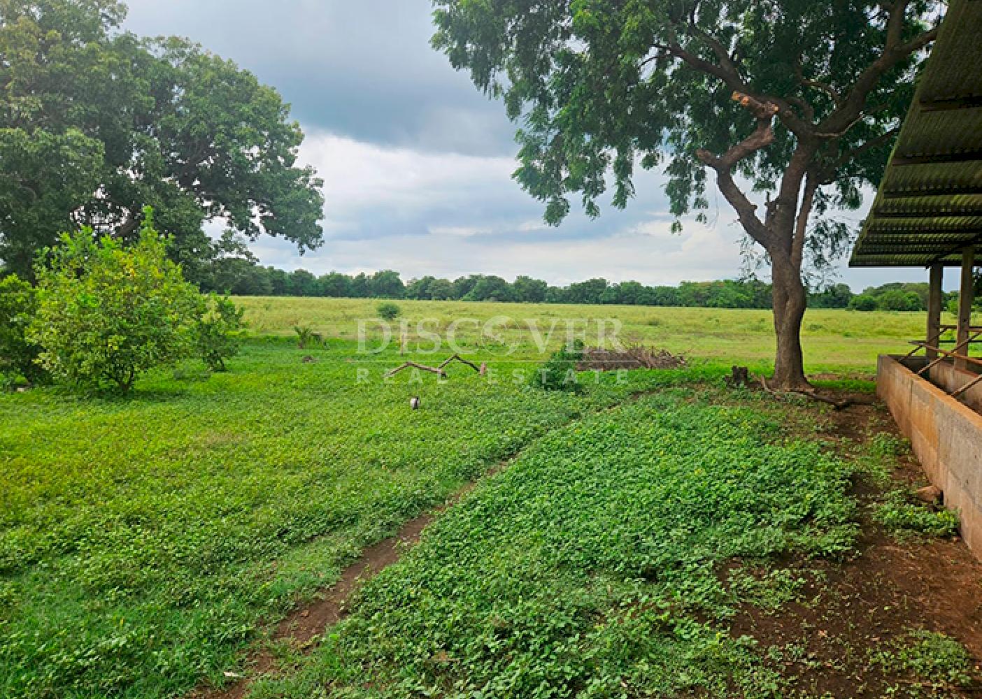  Livestock/Agricultural Farm for Sale in Masaya