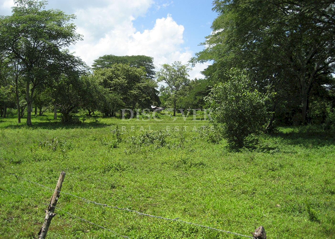 Se vende finca productiva en el Departamento de Chontales 