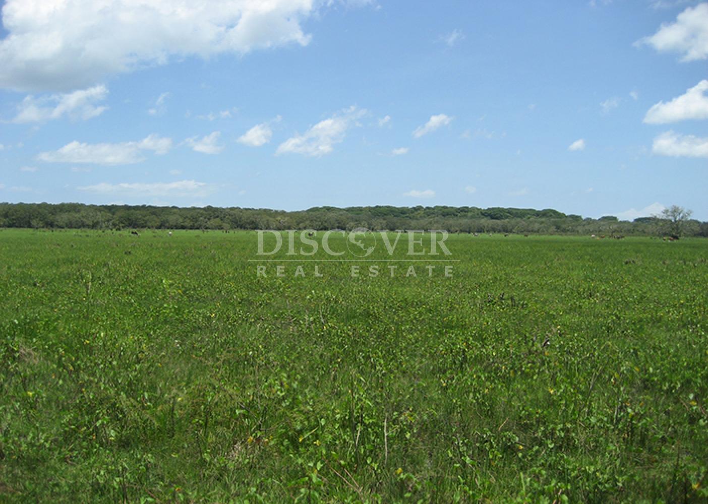 Se vende finca productiva en el Departamento de Chontales 