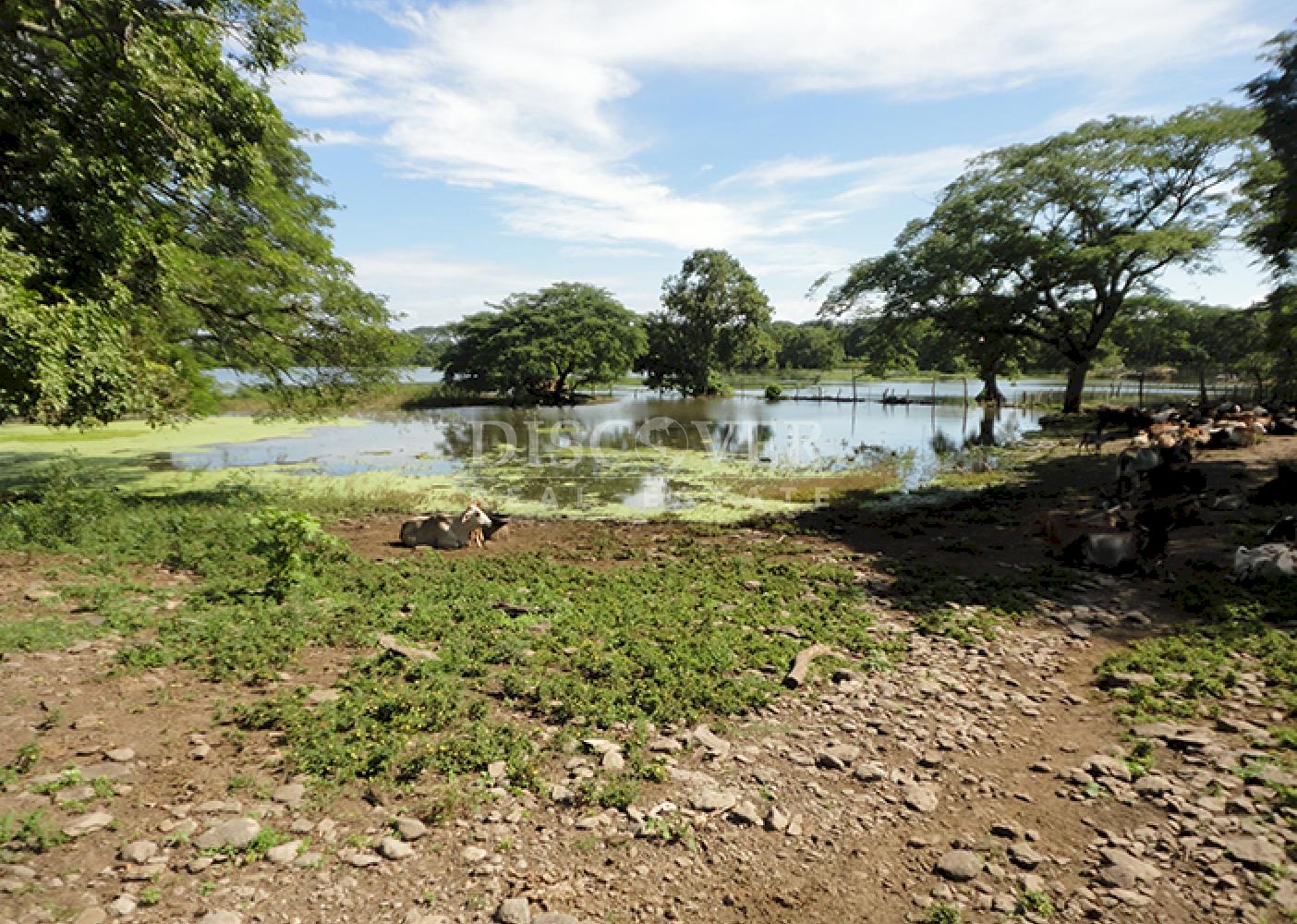 Se vende finca productiva en el Departamento de Chontales 