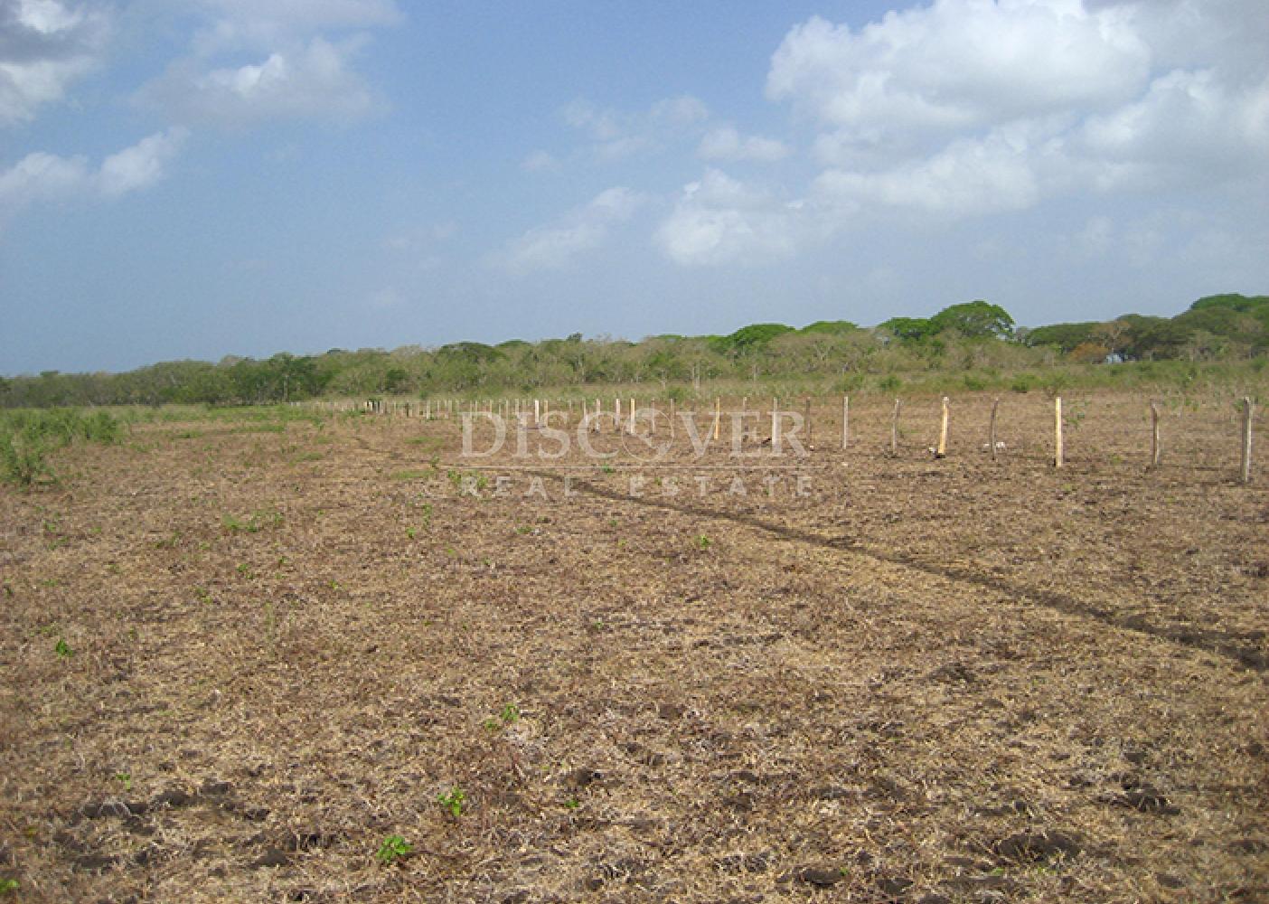 Se vende finca productiva en el Departamento de Chontales 