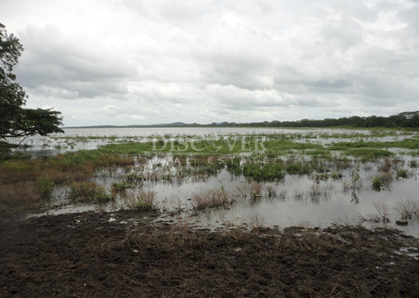 Se vende finca productiva en el Departamento de Chontales 