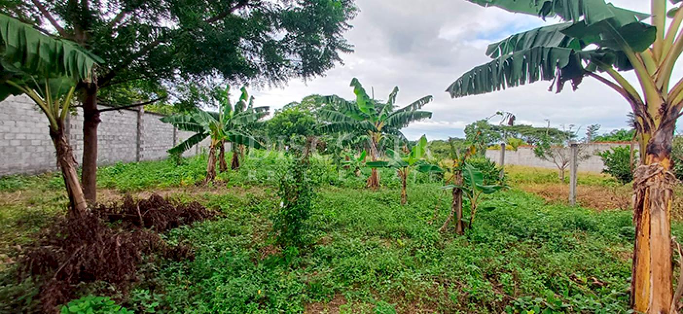 Land for sale in secure subdivision in Veracruz 