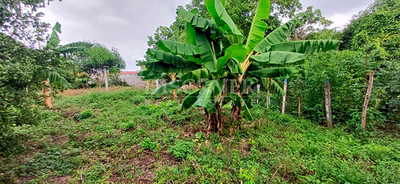 Land for sale in secure subdivision in Veracruz 