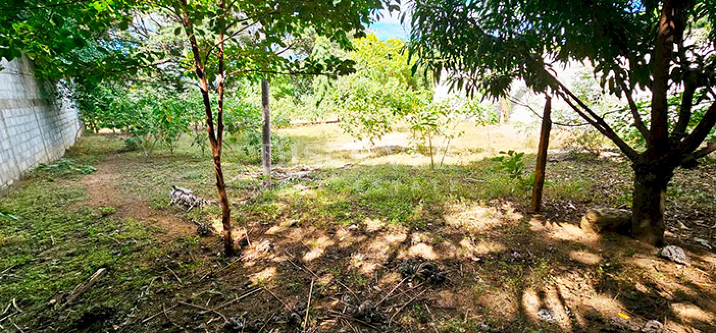  Land for sale on Carretera Sur - Ideal for housing