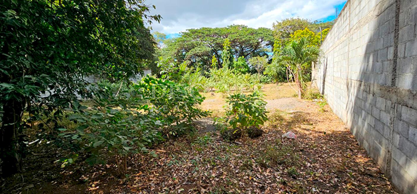  Land for sale on Carretera Sur - Ideal for housing