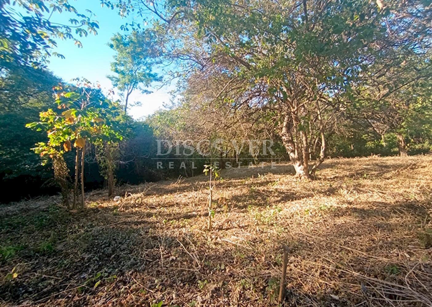 Land for sale on Carretera Vieja to León